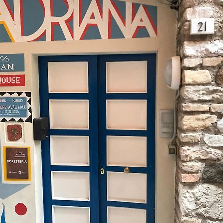 Vegan B&B Meuble Adriana Sirmione Kültér fotó